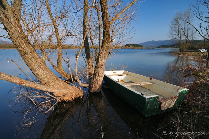 Cerknica Lake