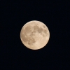 P20-luna.jpg